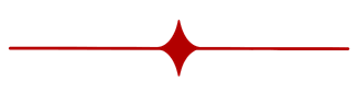 Diamond divider Icon